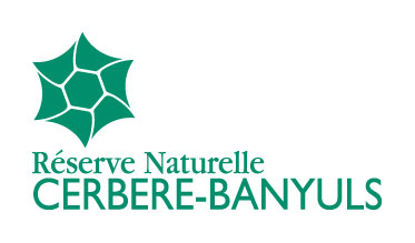 RNN Marine de Cerbère-Banyuls